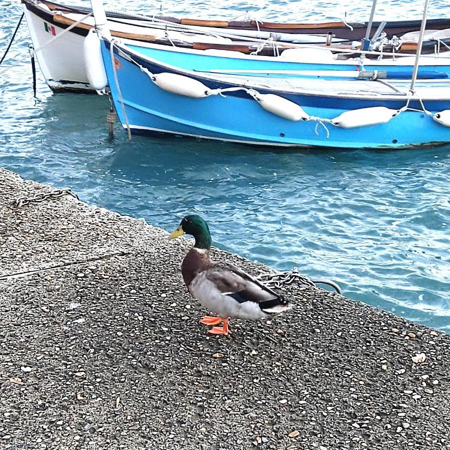Ostello Ninin De Ma' Framura Bagian luar foto