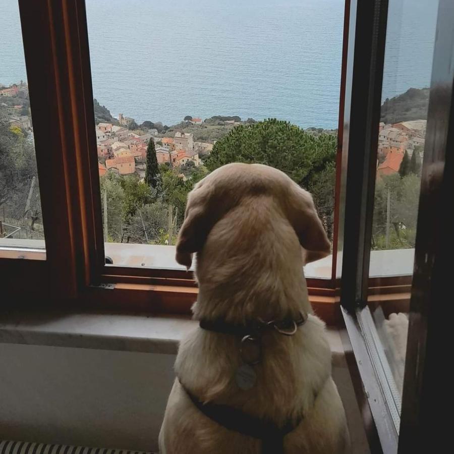 Ostello Ninin De Ma' Framura Bagian luar foto